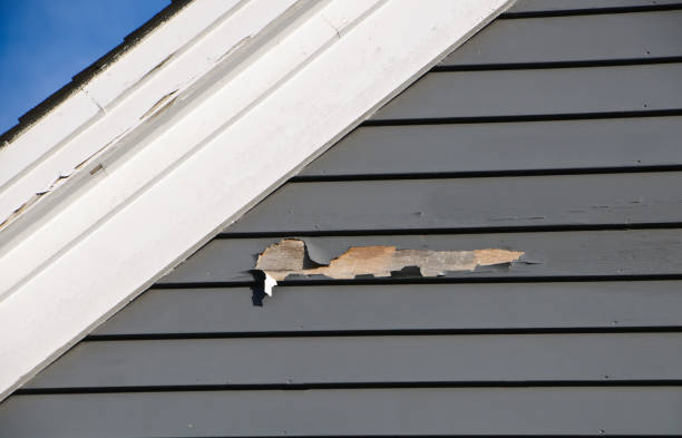 Best Residential Vinyl Siding Installation  in Fairland, MD